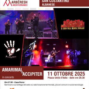 Locandina dell’evento Amarimai & Accipiter a San Costantino Albanese con il seminario “La bottega del web”.
